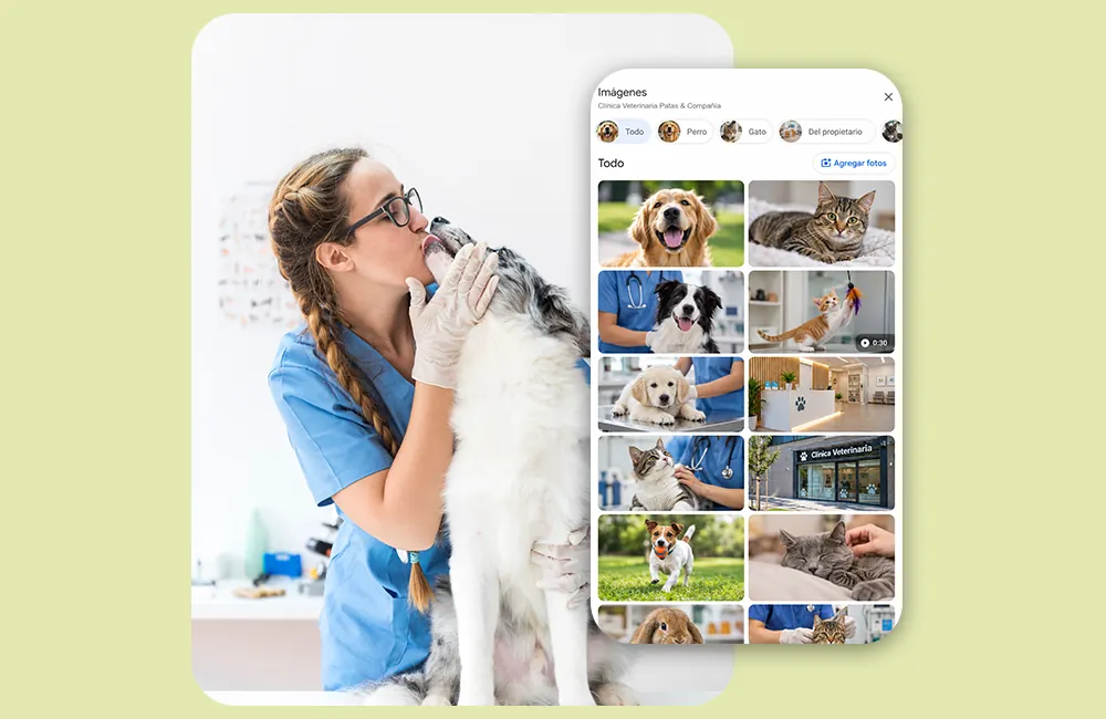 Galería de fotos y vídeos subidos a la ficha de Google